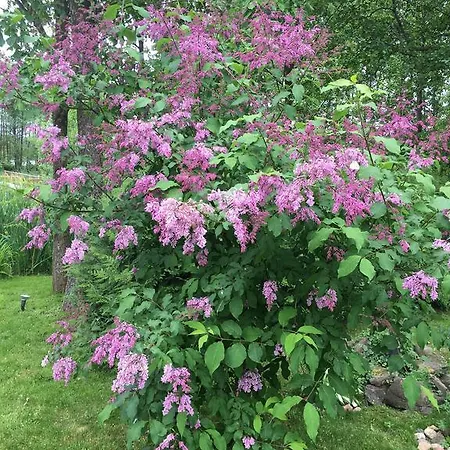 Kwatera prywatna Allegorło